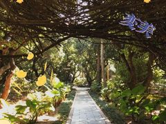 -深圳湾公园(南山区)