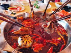 -田鸭肠·非遗火锅(彭州店)