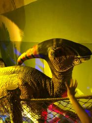 -恐龙探索乐园(磁器口店)