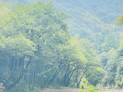 -水墨汀溪风景区