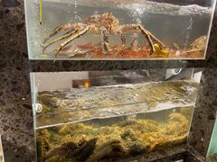 -甄御•海鲜新青岛菜(麦岛店)