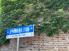 -日照海滨国家森林公园