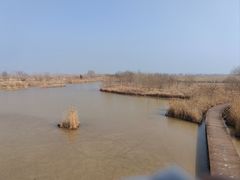 -盐城丹顶鹤湿地生态旅游区