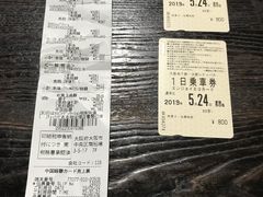 -大国药妆(NEW心斎橋店)