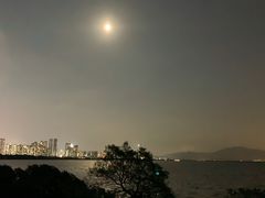-深圳湾公园(南山区)
