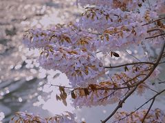 -红星桥(地铁站)