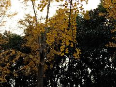 -苏州河梦清园环保主题公园