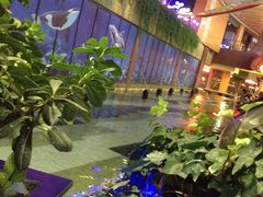 -bluefrog蓝蛙(水游城店)