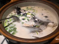 -姜君·千岛湖鱼头馆(浦东大道店)