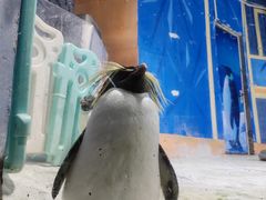 -海合安青岛极地海洋公园
