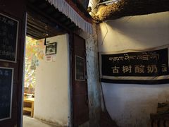 -古树酸奶(八廓南街店)