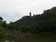 -南沙蒲洲花园