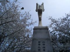 -武汉大学-樱园