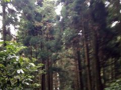 -井冈山风景名胜区-黄洋界
