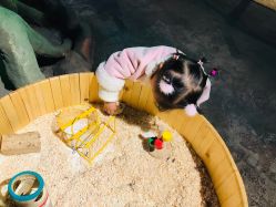 -酷嗒动物文化乐园(cutezoo西溪乐天城店)