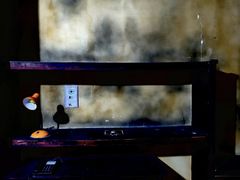 -屋有岛沉浸游戏旗舰店(中山公园店)