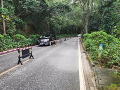 -东莞市大岭山森林公园