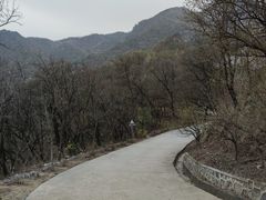 -阳台山自然风景区