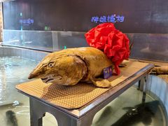 -胖姐渔村(中源大道店)