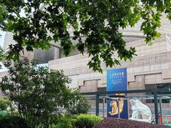 -上海博物馆(人民广场馆)