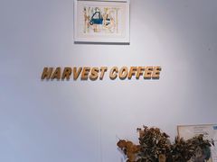 -收获咖啡HARVEST RESERVE(苍山店)