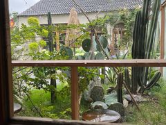 -Jo's Garden