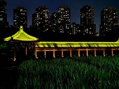 -龙头寺公园