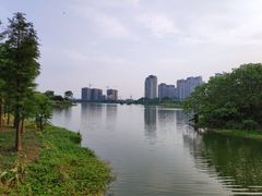 -广东花都湖国家湿地公园