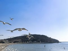 -烟墩角天鹅湖