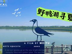 -野鸭湖国家湿地公园