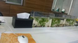 android_upload_pic-艺剪堂