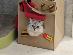 -铁锅年代(高新店)