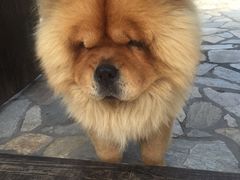 -看见远方·莫干遥远的山民宿