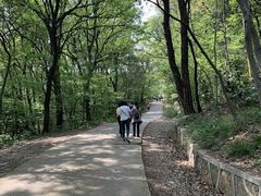 -紫金山天文台