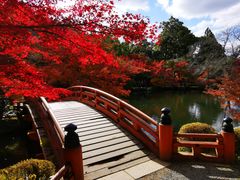 -醍醐寺