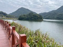 -广州市石门国家森林公园