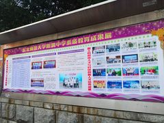 -东北师范大学附属中学(自由校区)