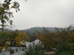 -雨花胜境
