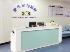 -康成宠物医院24H·CT·核磁共振