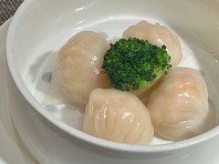 虾饺-皓粤臻品荟·地道广东菜