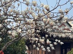 -长春观