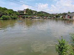 -枇杷沟农家乐·柴火鸡