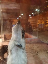 -酷嗒动物文化乐园(cutezoo西溪乐天城店)