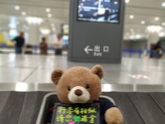 -上海浦东国际机场-T2航站楼