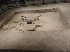 -洛阳周王城天子驾六博物馆