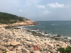 -广东惠东海龟国家级自然保护区