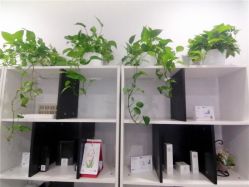 -痘博士天津·全国连锁祛痘机构