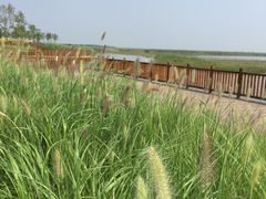 景点-官港森林公园