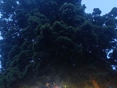 -兆祥公园