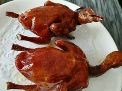 -鸽鸟轩(石岐店)